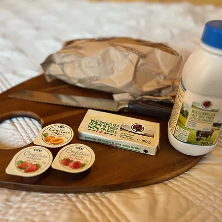 In Swiss - Skiing Nearby! Garden Views 招待所 阿泽尔