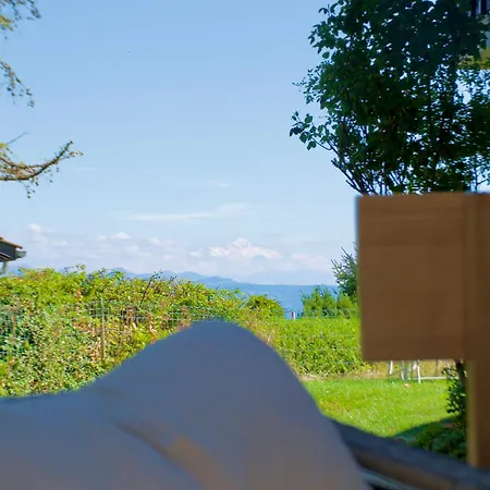 In Swiss - Garden Views Of Mont Blanc